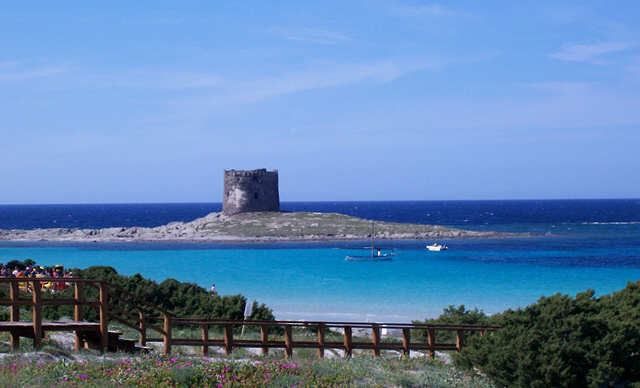 slidecontentimage0133